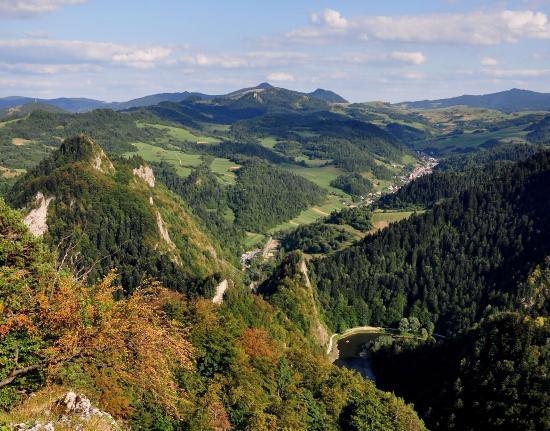 Sokolica